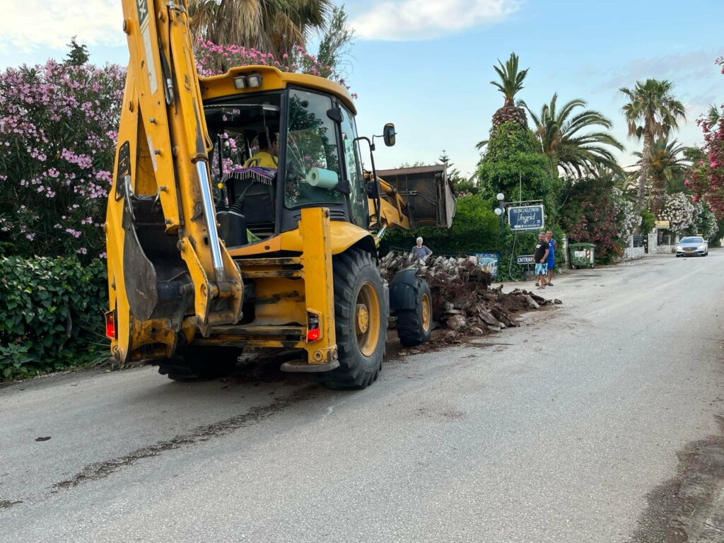 Πτώση δέντρου Ασίνη (1)