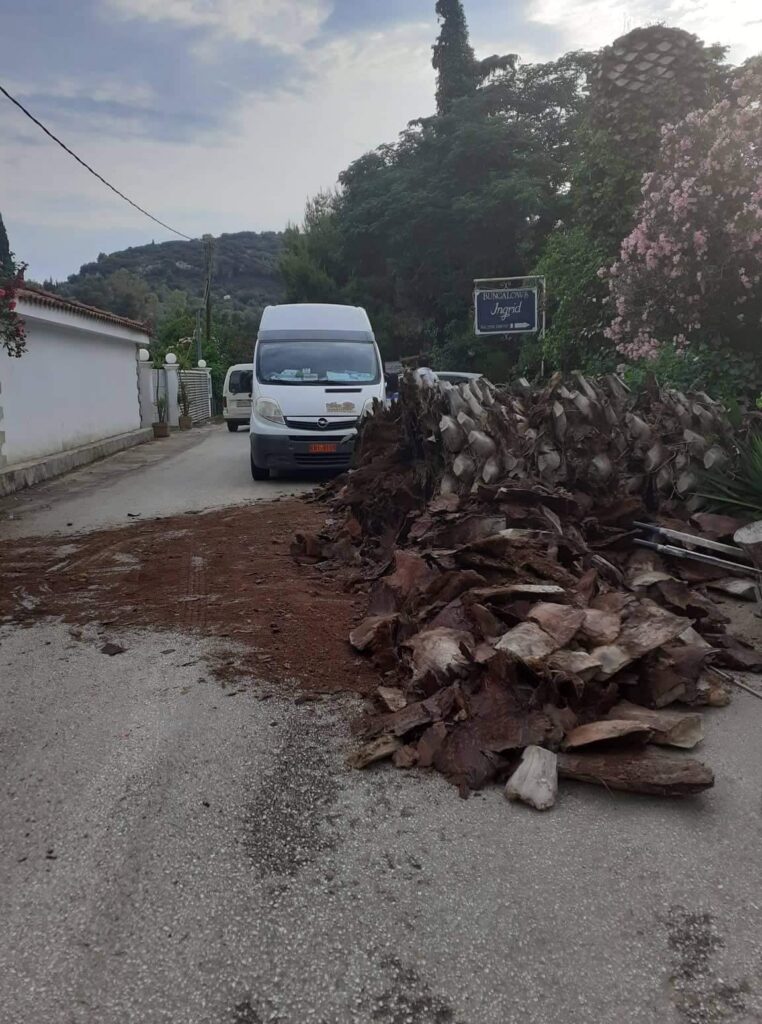 Πτώση δέντρου Ασίνη 3 1