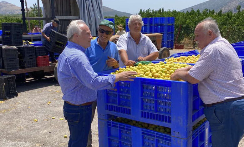 Ανδριανός συναντήσεις με παραγωγούς Αργολίδας (5)
