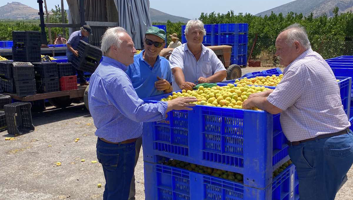 Αργολίδα: Κόστος παραγωγής και εργατικά χέρια αφήνουν τα βερίκοκα στο χώμα – Ο Ανδριανός ενημερώνει Γεωργαντά