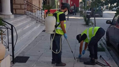 ΔΕΥΑΑΡΜ καταπολέμηση παρασίτων (5)