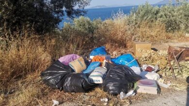 Δολιοφθορές δήμος Επιδαύρου (6)