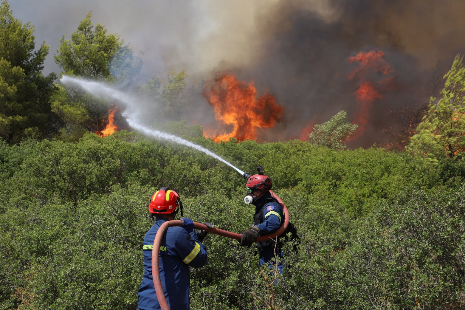 Πυρκαγιές: Καίγεται ο τόπος πριν μπει καλά-καλά το καλοκαίρι
