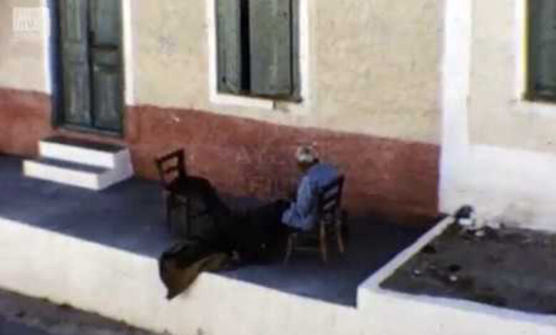 Τολό 1966