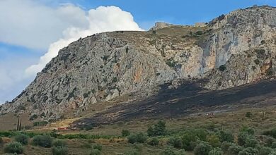 Φωτιά Ακροκόρινθος (2)