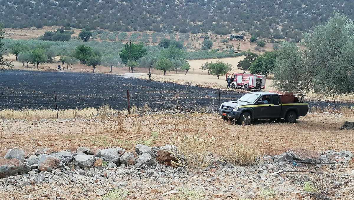 Κρανίδι: Πρόλαβαν και αυτή τη φωτιά στον Κάμπο