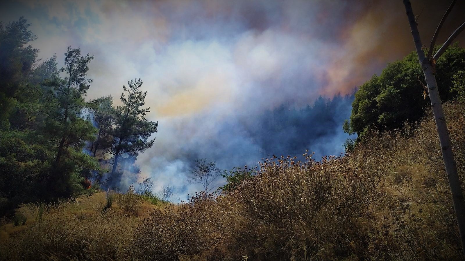 Πολιτική Προστασία Δήμου Ναυπλιέων: Υπάρχει ακραίος κίνδυνος πυρκαγιάς