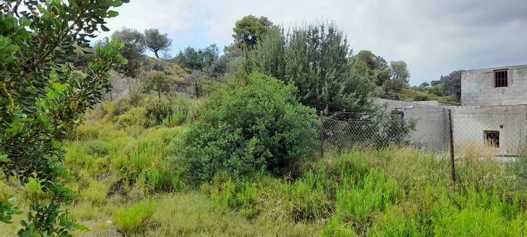 Δεξαμενή Πορτοχελίου (4)