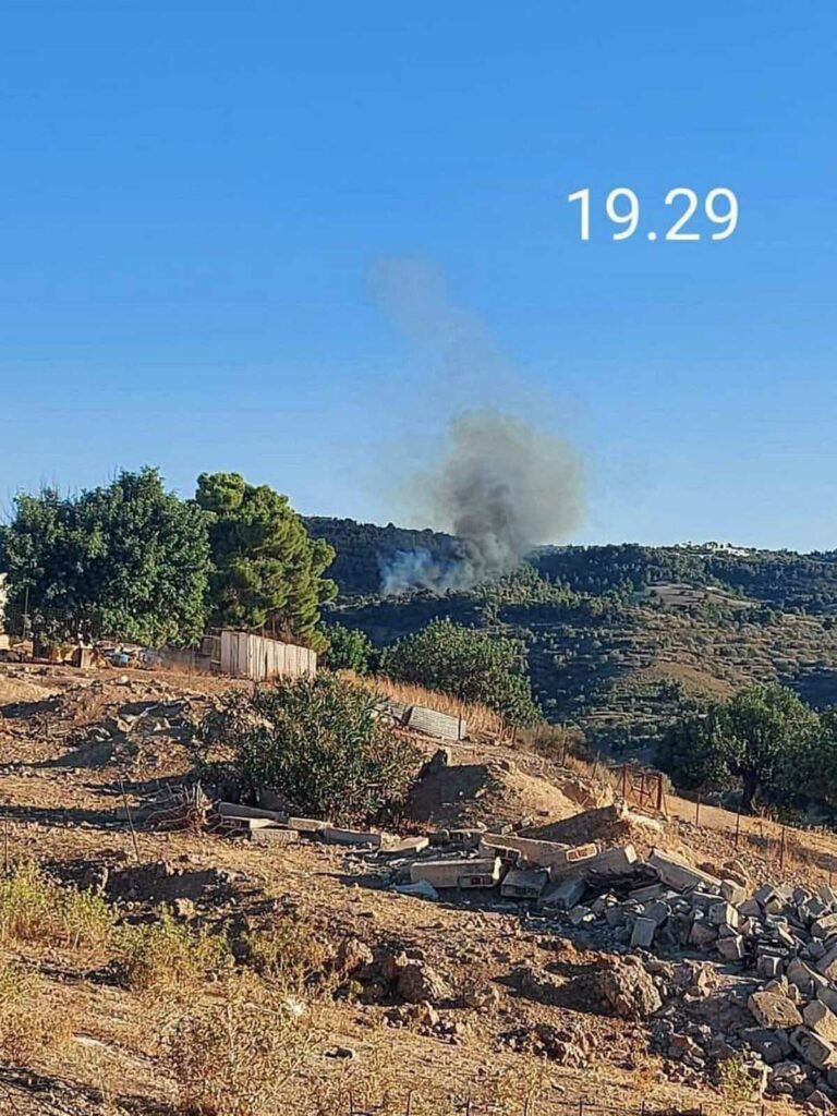 Φωτιά Ερμιονίδα 19.29