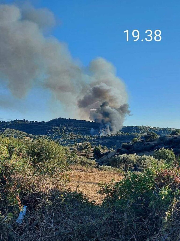 Φωτιά Ερμιονίδα 19.38