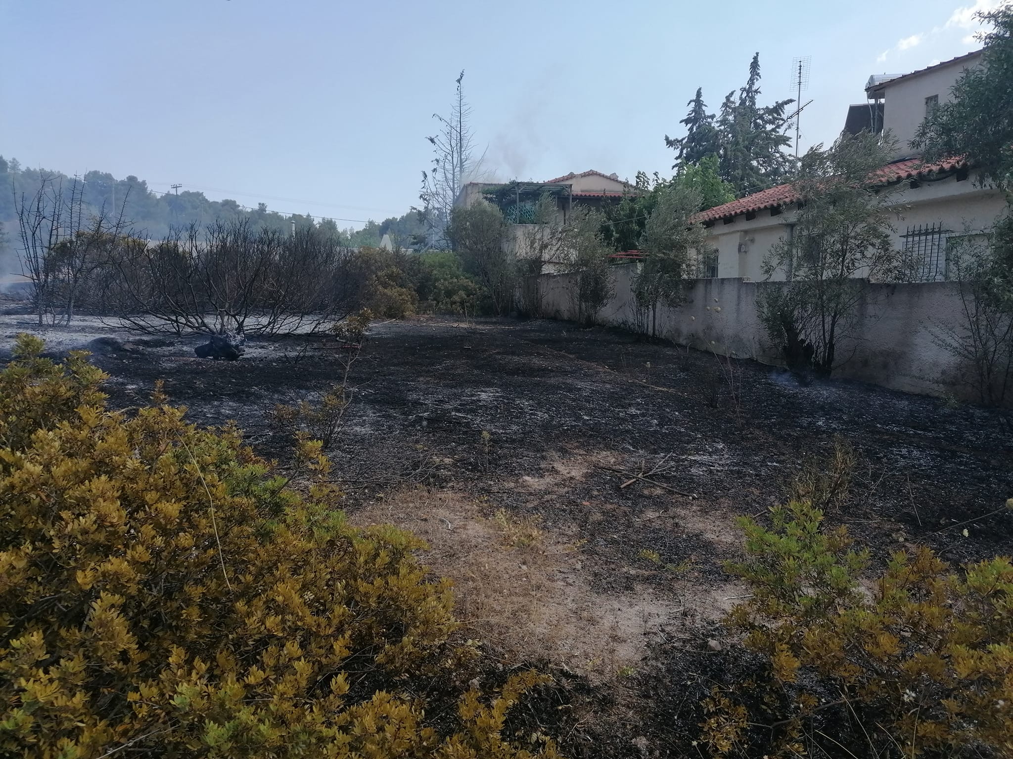 Φωτιά Κινέττα Ερμιόνης (6)