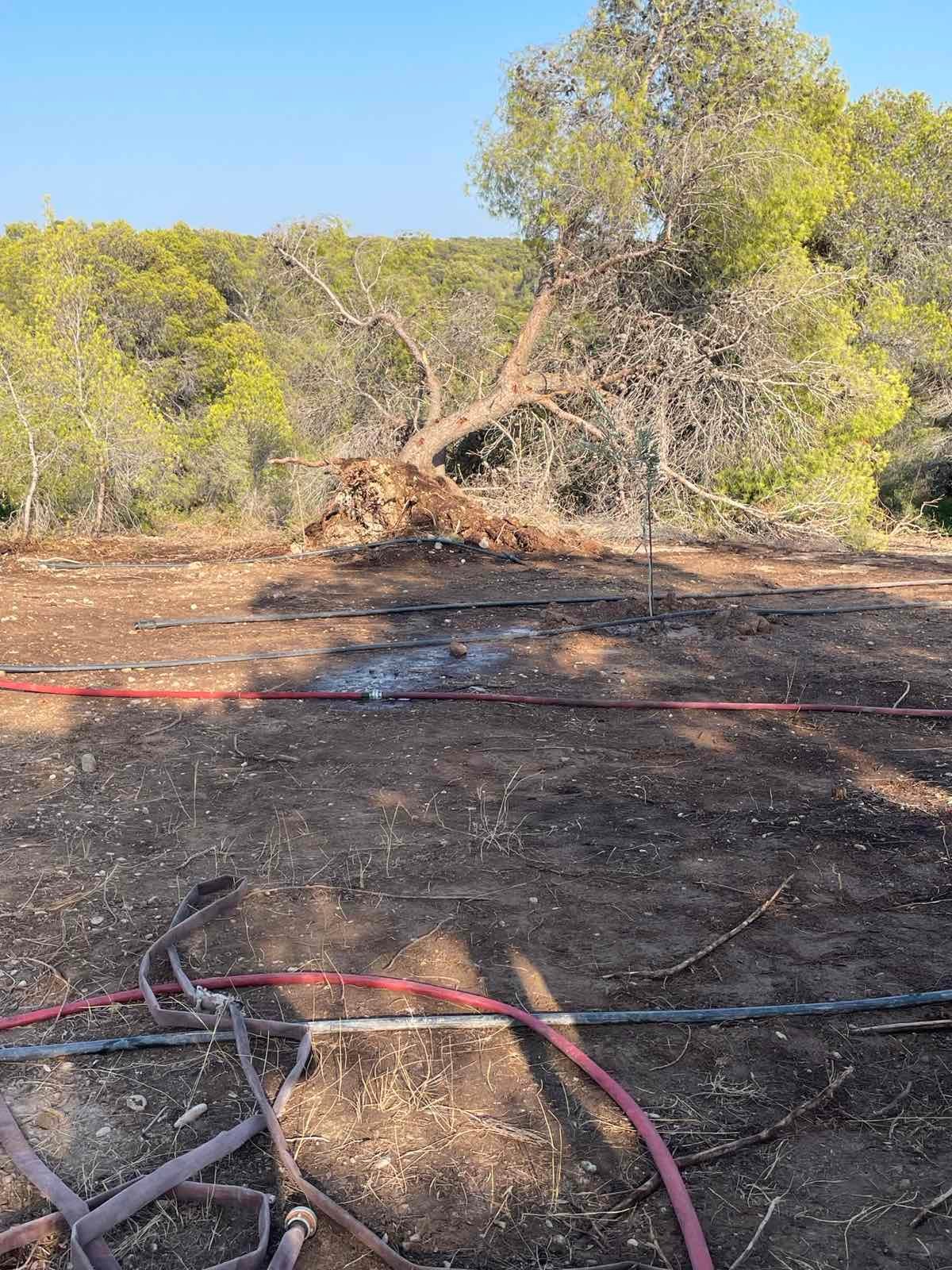 Φωτιά Χηνίτσα Πορτοχέλι Ερμιονίδα (1)