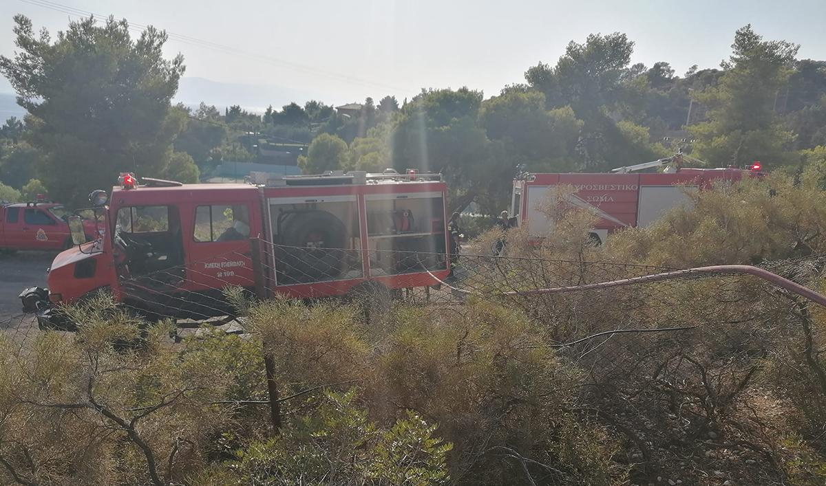 Φωτιά Χηνίτσα Πορτοχέλι Ερμιονίδα (3)