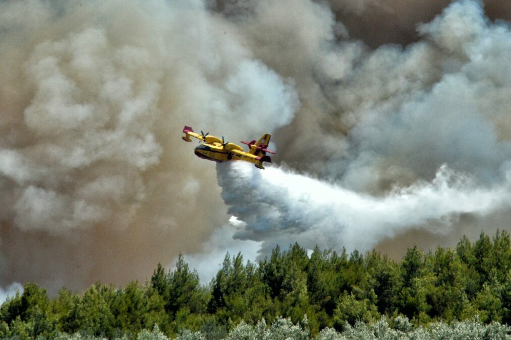 Λακωνία: Πυρκαγιά σε δασική έκταση σε Γοράνους και Βασιλική