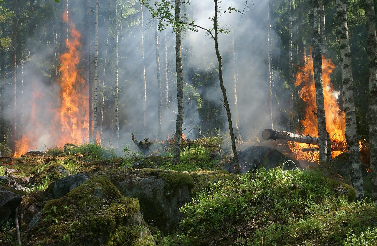 Παραμένουν σε κατάσταση συναγερμού Αργολίδα και Κορινθία – Υπάρχει ακραίος κίνδυνος πυρκαγιάς