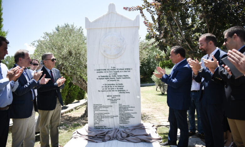 Αρχαία Ολυμπία δωρεά 135.000 ελιών (4)