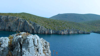 Γέρακας Λακωνίας (2)