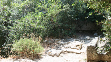 Διαβολογέφυρο Τροιζήνα (13)