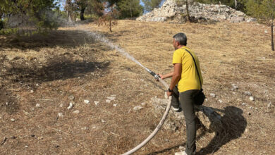 Μπίστι Ερμιόνης πυρασφάλεια (3)