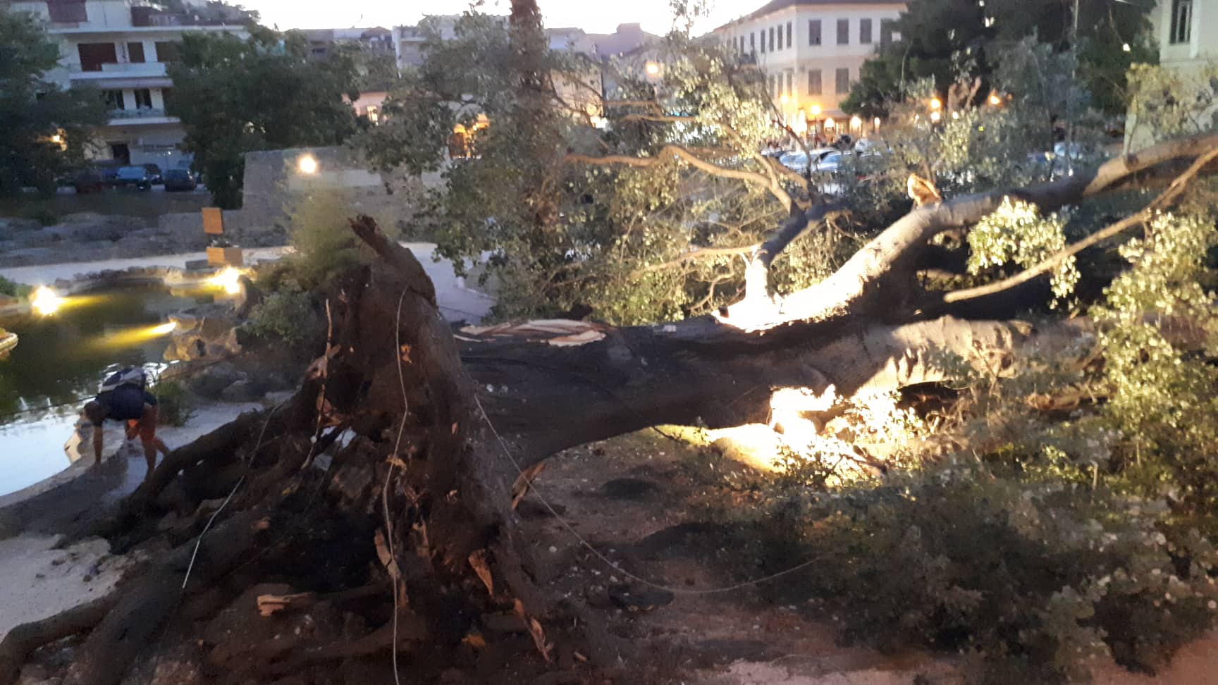 Ναύπλιο: Τεράστιο δέντρο έπεσε δίπλα από τα κεφάλια των περαστικών και σκόρπισε τον τρόμο