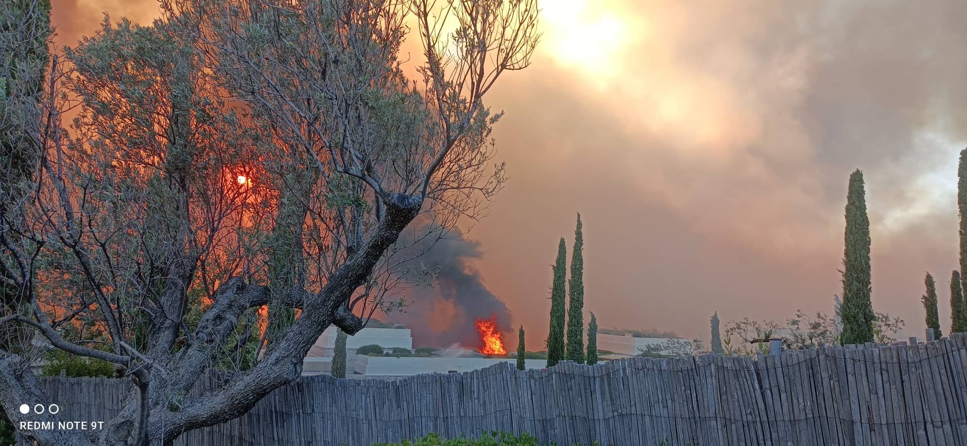 Κρανίδι: Από βραχυκύκλωμα η μεγάλη πυρκαγιά στην Κορακιά