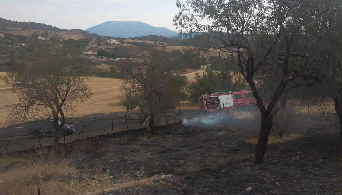 Φωτιά Δισκούρια Ερμιόνης (3)