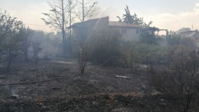 Φωτιά Κινέττα Ερμιόνης (3)
