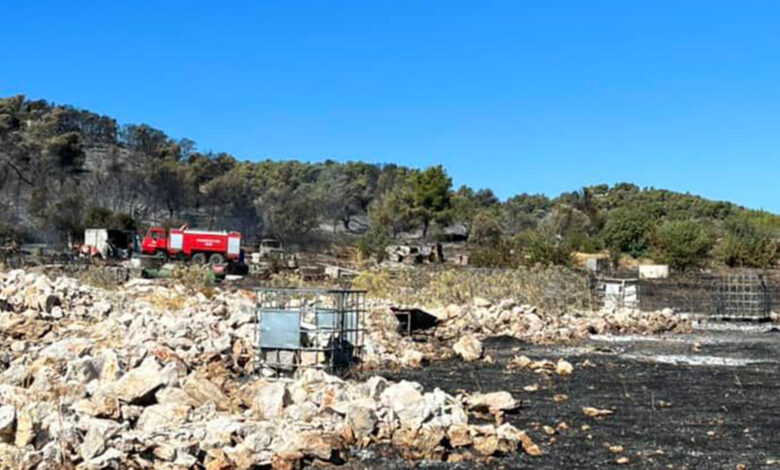 Φωτιά Κρανίδι