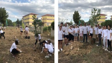 Φύτευση δέντρων Ναύπλιο