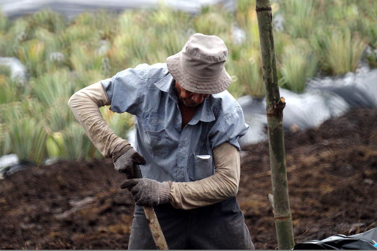 Αργολίδα: Καταδικάζει τον ξυλοδαρμό του μετανάστη εργάτη γης στο Κουτσοπόδι το ΚΚΕ