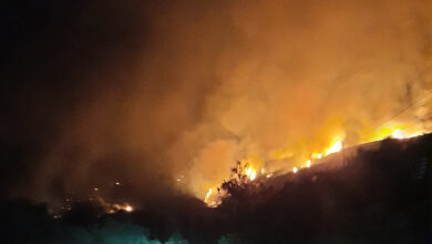 πυρκαγιές Πελοπόννησος