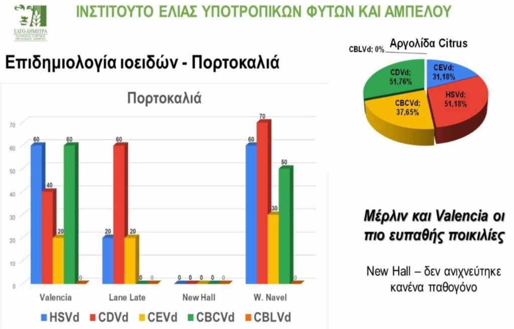 Εσπεριδοειδή ημερίδα Ναύπλιο (2)