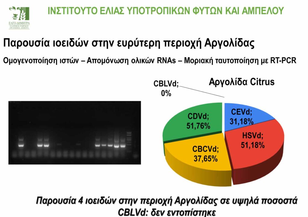 Εσπεριδοειδή ημερίδα Ναύπλιο (3)