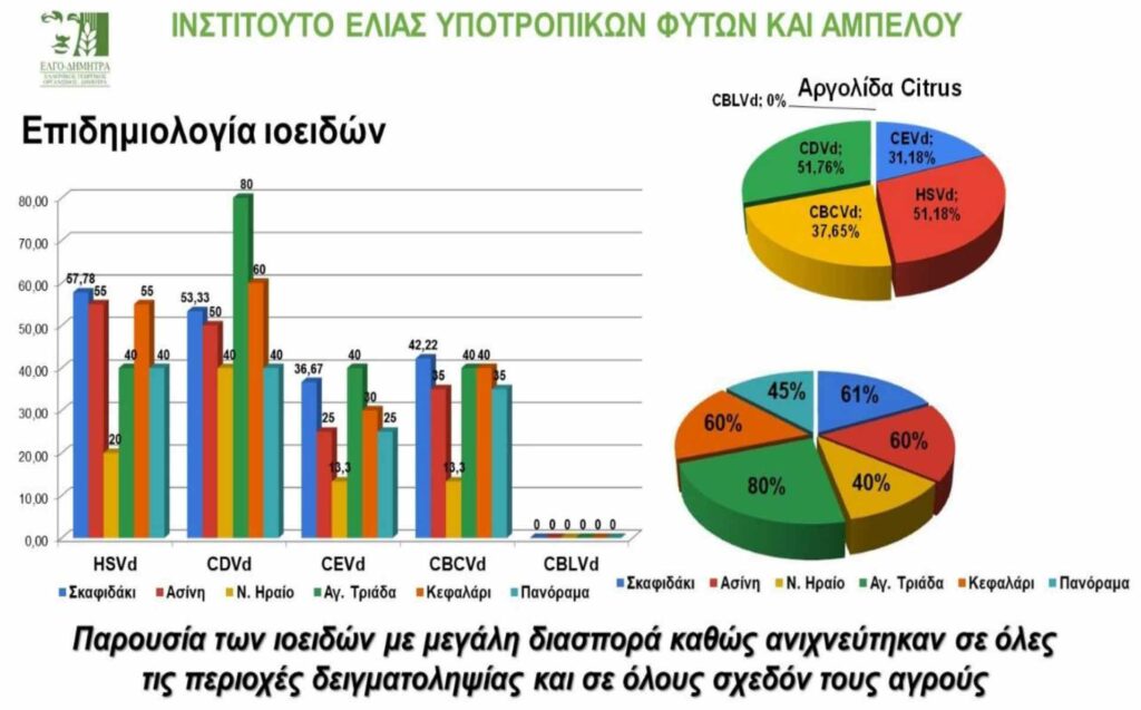 Εσπεριδοειδή ημερίδα Ναύπλιο (4)