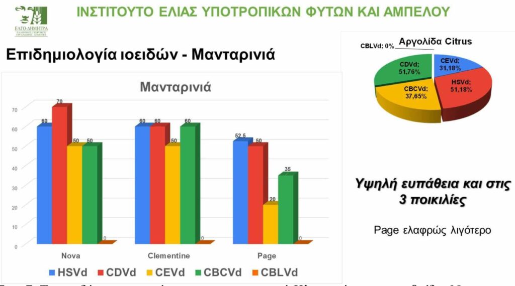 Εσπεριδοειδή ημερίδα Ναύπλιο (5)