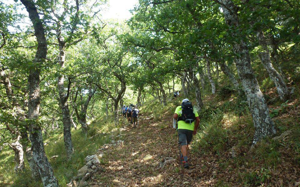 Μονοπάτι Άγιος Νικήτας Τριφυλία Σέλλας