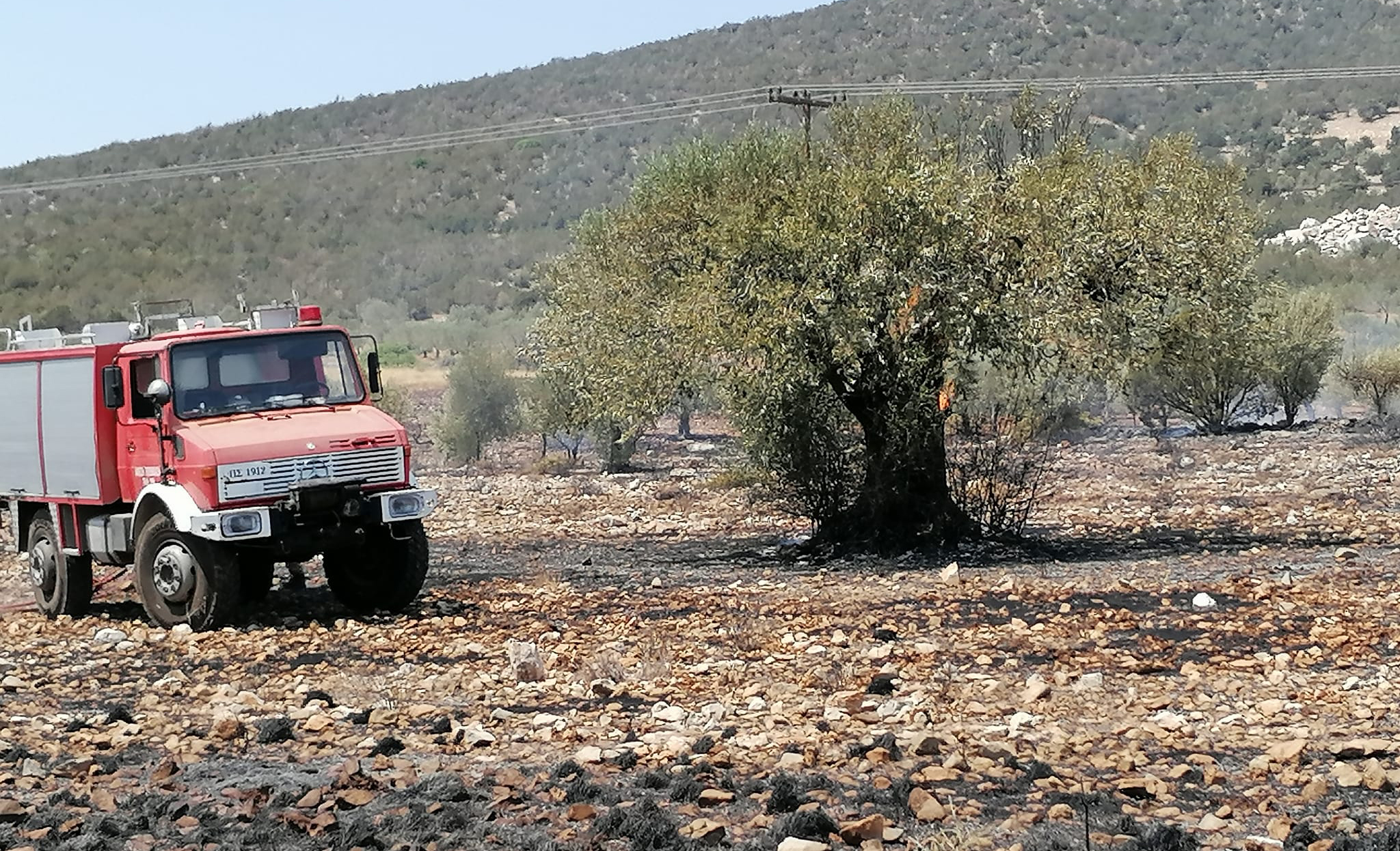 Φωτιά Ερμιονίδα (5)