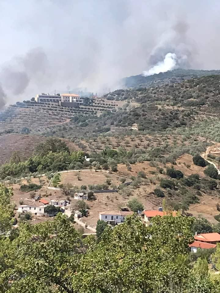 Φωτιά Πυργιώτικα Ναυπλίου (1)