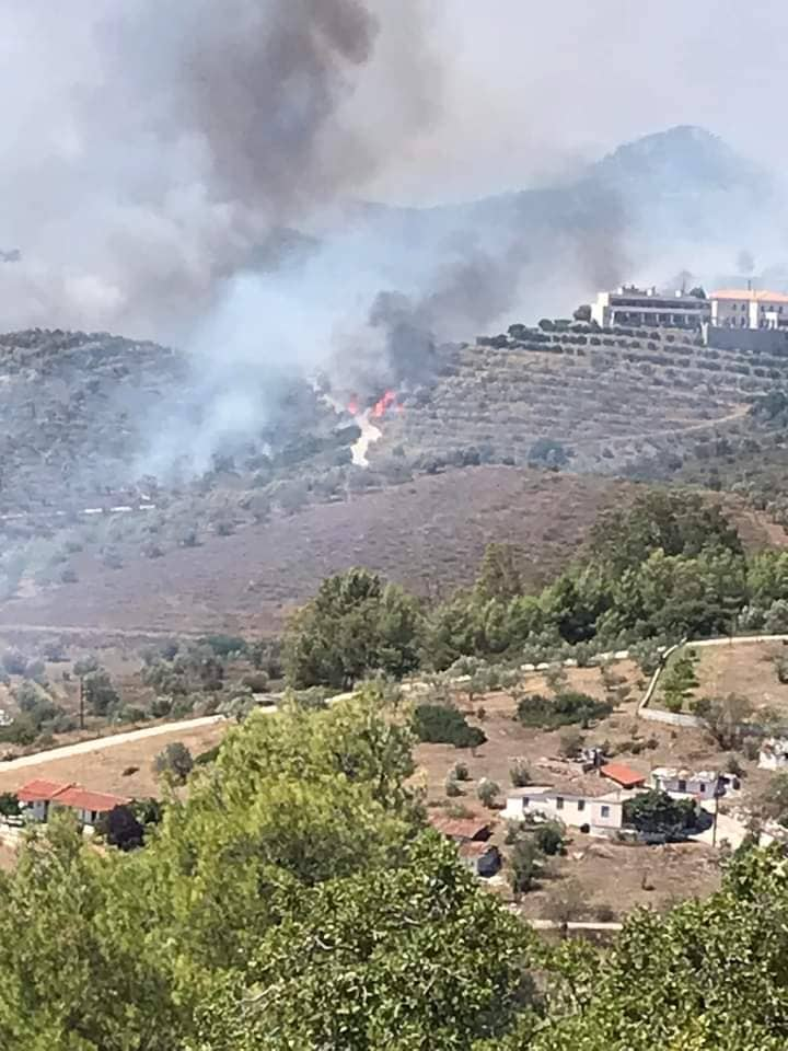 Φωτιά Πυργιώτικα Ναυπλίου (2)