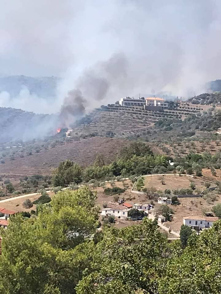 Φωτιά Πυργιώτικα Ναυπλίου (4)