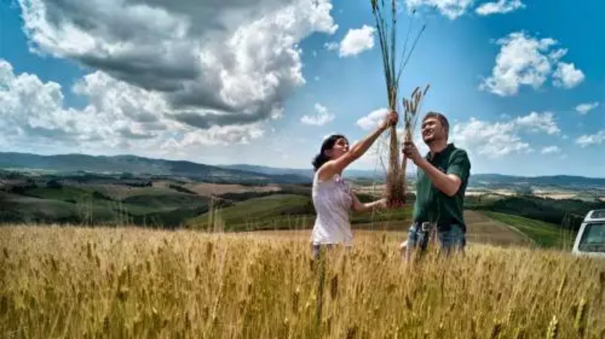 Νέοι αγρότες: Μένουν εκτός προγράμματος πολλοί υποψήφιοι στην Πελοπόννησο