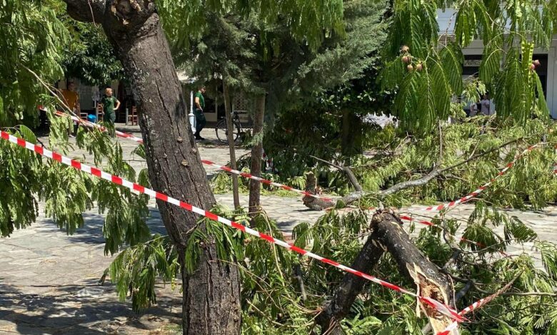kalamata anemostrovilos 4