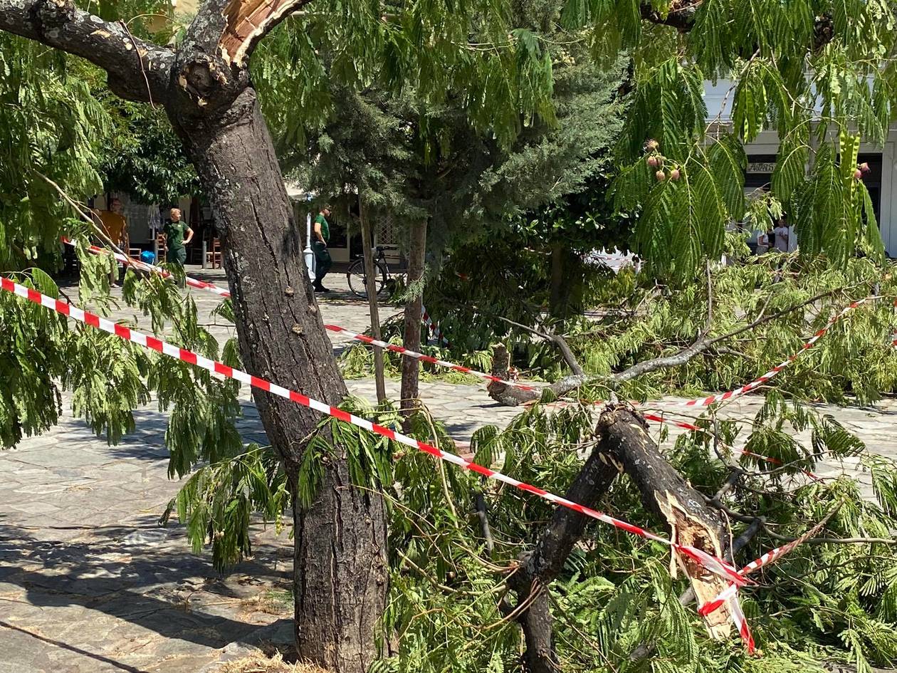 Καλαμάτα: Ανεμοστρόβιλος 30 δευτερολέπτων έφερε τα πάνω κάτω στην Πλατεία Όθωνος