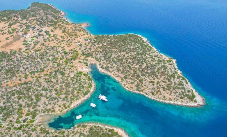 Δοκός νησί