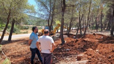 Εργασίες πυροπροστασίας δήμος Επιδαύρου (2)