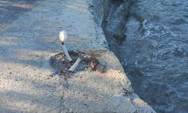 Κλοπή παλαιά επίδαυρος