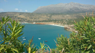 Μάνη (4)