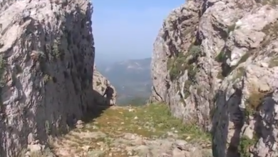 Πόρτες Αρτεμισίου