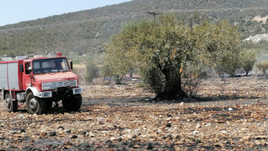 Φωτιά Ερμιονίδα (5)