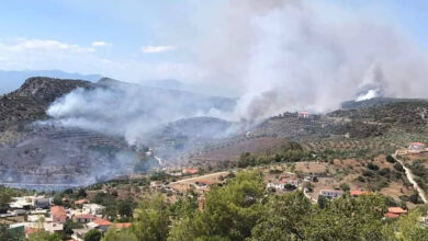 Φωτιά Πυργιώτικα Ναυπλίου (5)